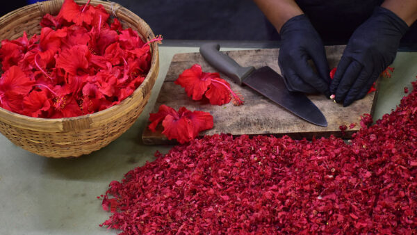 Hibiscus tea prep