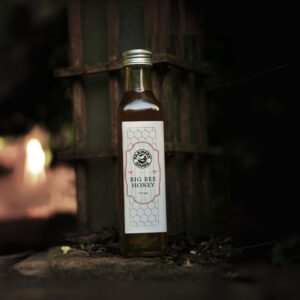 Big Bee Honey 350gms