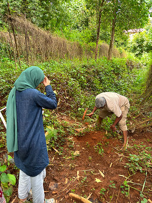 Farming images