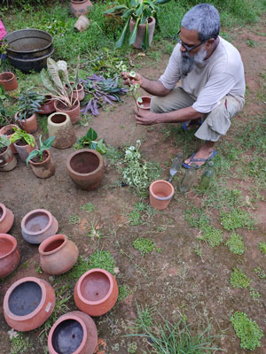Farming images
