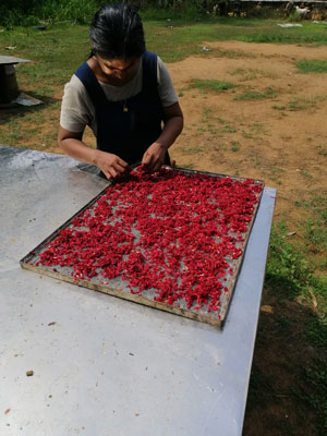 Farming images